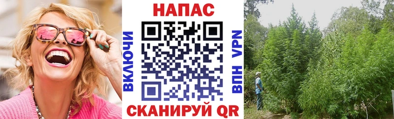 Конопля Bruce Banner Сыктывкар